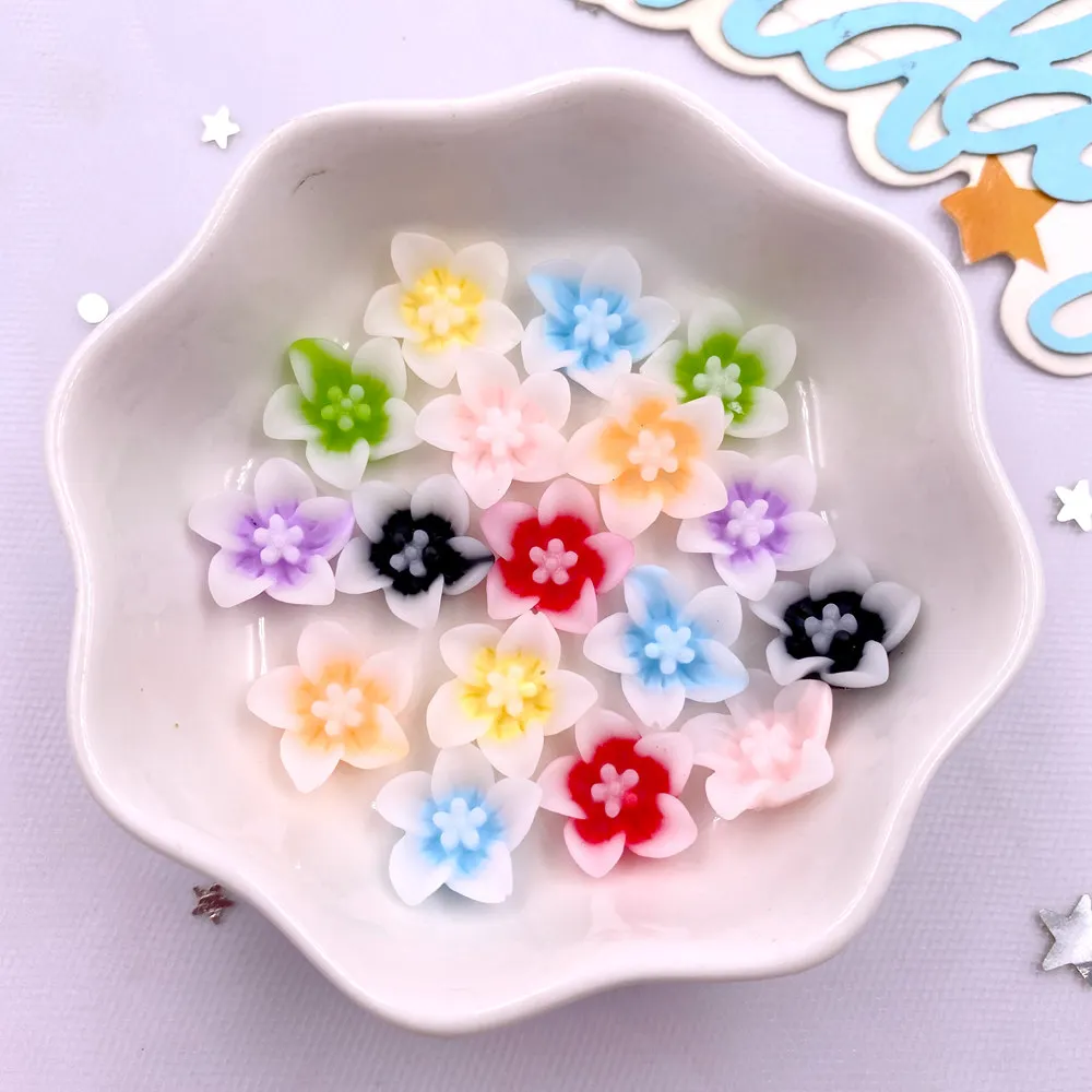 50 Stuks Hars 13Mm Kleurrijke  - Paradise Jewelry & Watches Llc Miami recensie en prijs