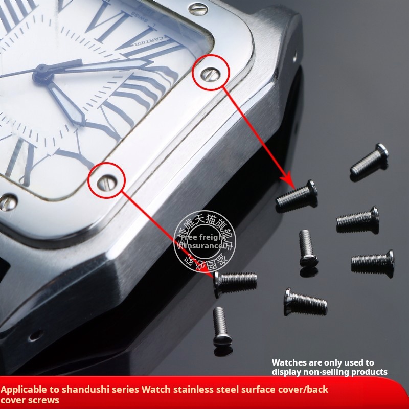 Massief Roestvrijstalen Schroe - Cartier Watch Santos recensie en prijs